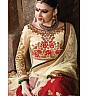 Kesari Designer Red Lehenga choli - Online Shopping India