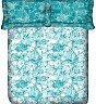 OSI DD Queen See Green  Printed BedSheet with 2 Pillow Covers - Online Shopping India