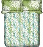 OSI DD Queen Green Printed BedSheet with 2 Pillow Covers - Online Shopping India