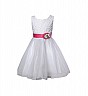 Isabelle Dark Pink-white Partywear Dress - Online Shopping India