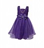 Isabelle Purple Partywear Dress - Online Shopping India